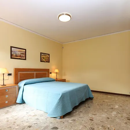 Tulipa * دينايا