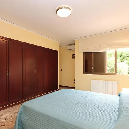 Tulipa * دينايا