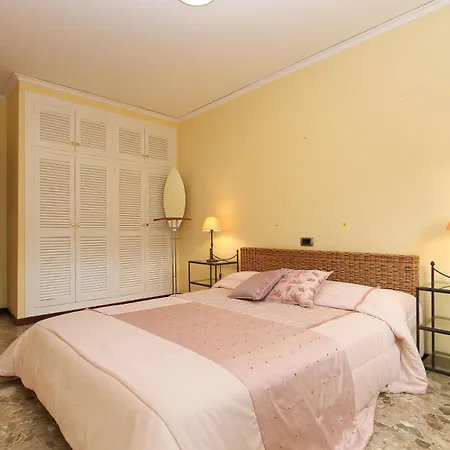 بيت للعطل Tulipa *