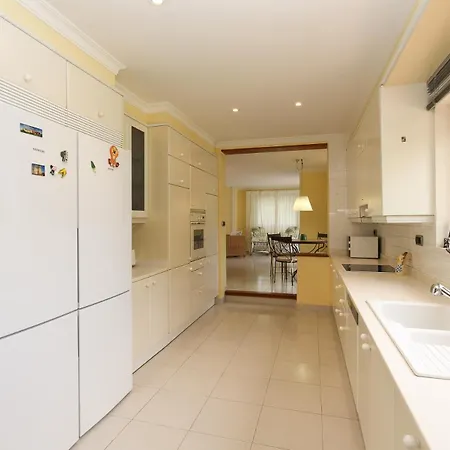 بيت للعطل Tulipa *