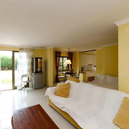 Tulipa * دينايا